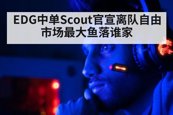 EDG中单Scout官宣离队自由市场最大鱼落谁家